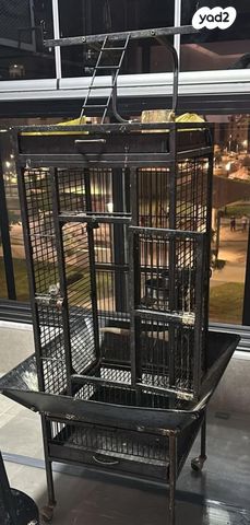 תמונת מודעה - חיות מחמד