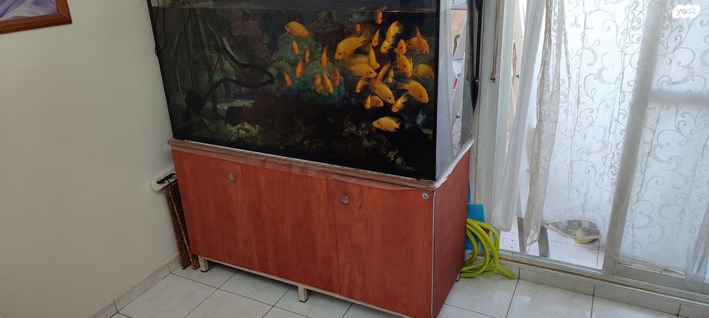 תמונת מודעה - חיות מחמד