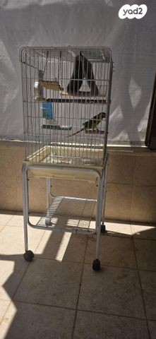 תמונת מודעה - חיות מחמד