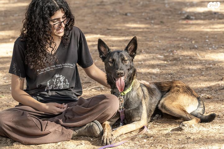 תמונת מודעה - חיות מחמד