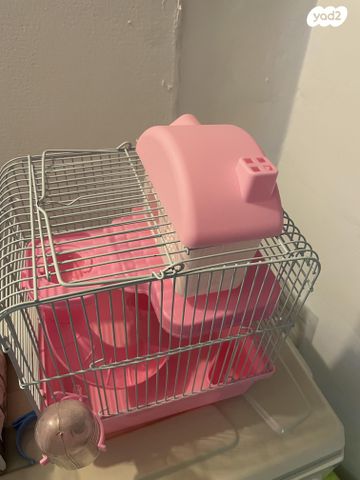 תמונת מודעה - חיות מחמד