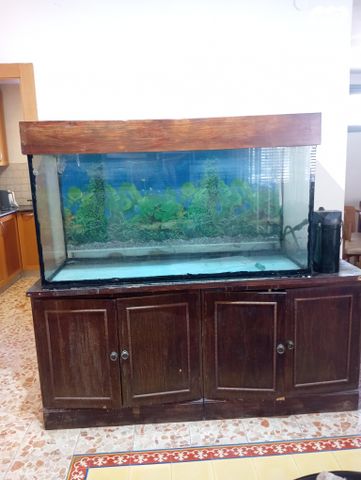 אביזרים | אקווריום