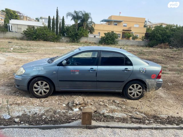 טויוטה קורולה