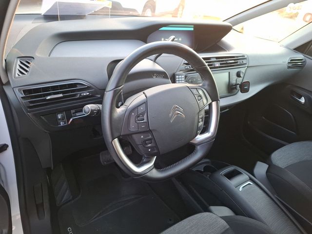 סיטרואן C4 פיקאסו