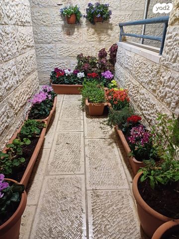 דירה, חפץ חיים 6, הדקל, ביתר עילית