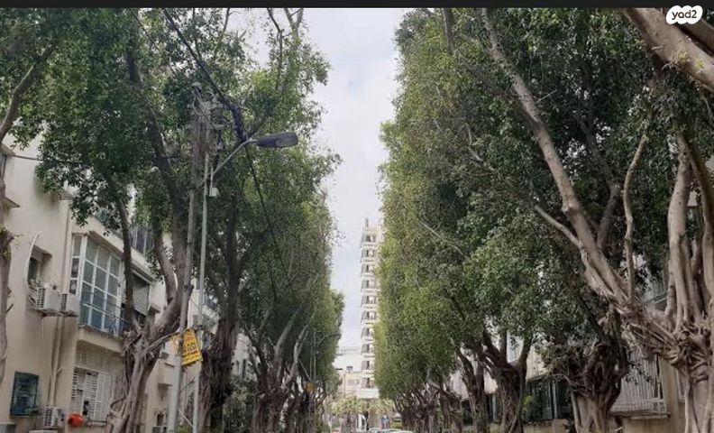 נחום הנביא 9