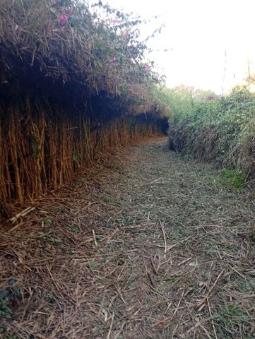 דירת גן, שניר 1, אבני חפץ, אבני חפץ