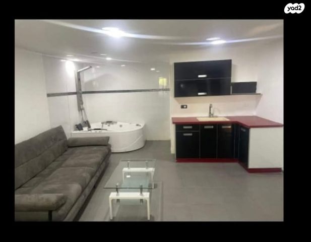 שמעון התרסי 24