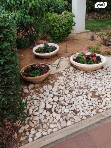 דירה, טובה וטוביה מילר 15, א' / צפון מזרח העיר, רחובות