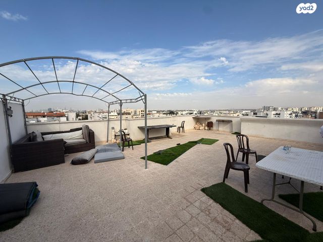 צבי הרמן שפירא 16