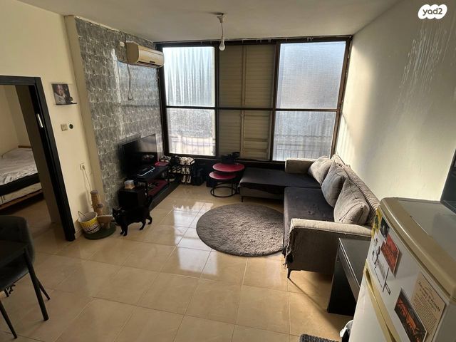 דוד רזיאל 14