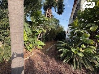 דירת גן, שפרינצק 14, שיכוני מזרחי, כפר סבא