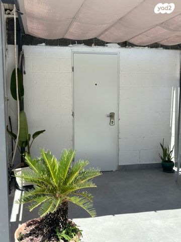 שמואל הנגיד 24