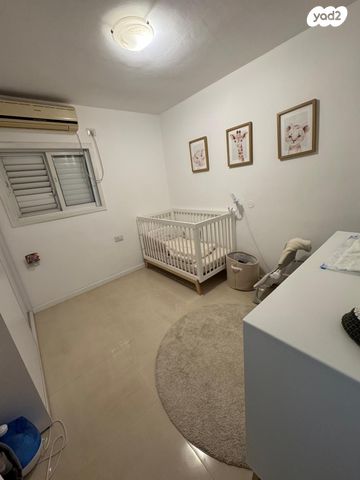 דירה, צ"ג בנות 28, רמב"ם, ראשון לציון