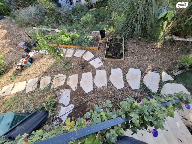 בית פרטי/ קוטג', עין השופט 1, עין השופט, עין השופט