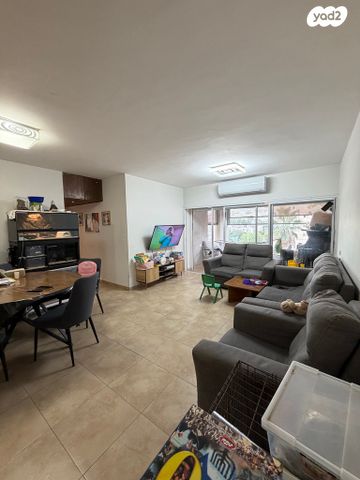 החשמונאים 41