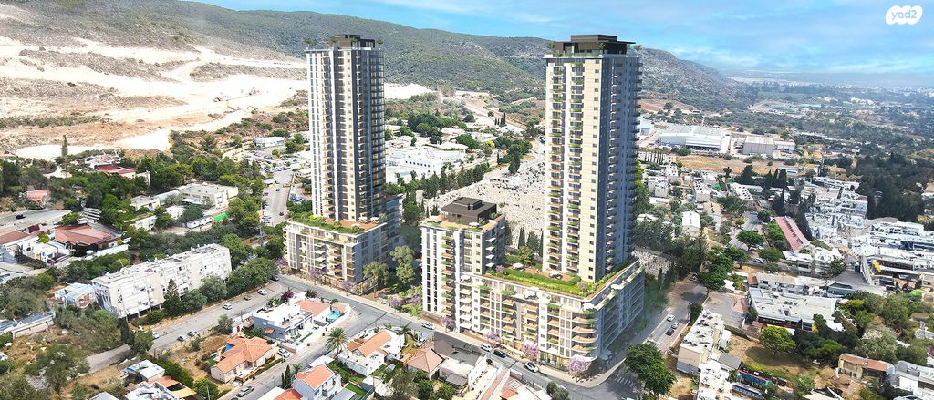 דירה, הארז, כהן, טירת כרמל