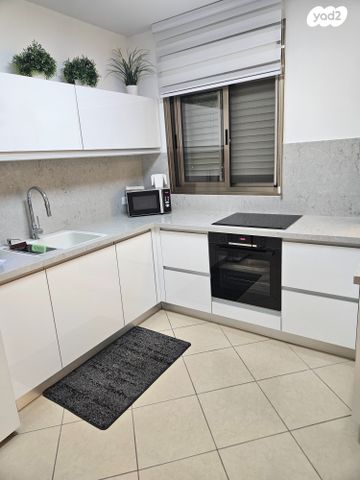 אריה דולצ'ין 