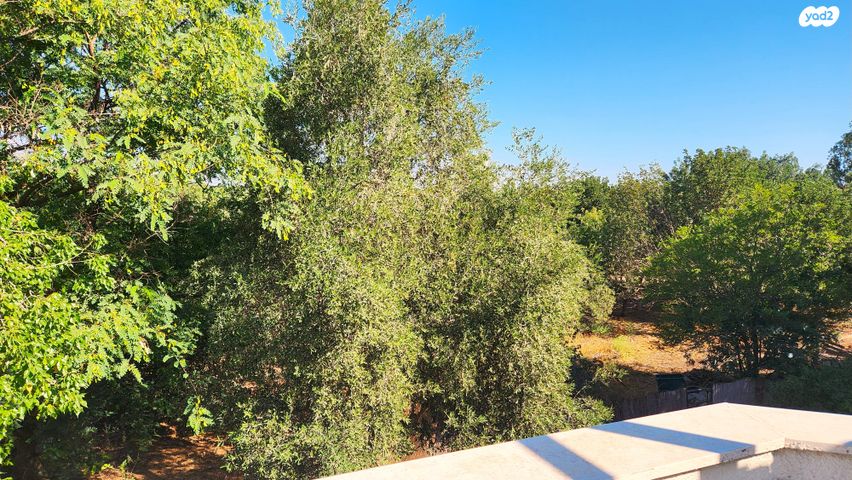 בית פרטי/ קוטג', שרונה