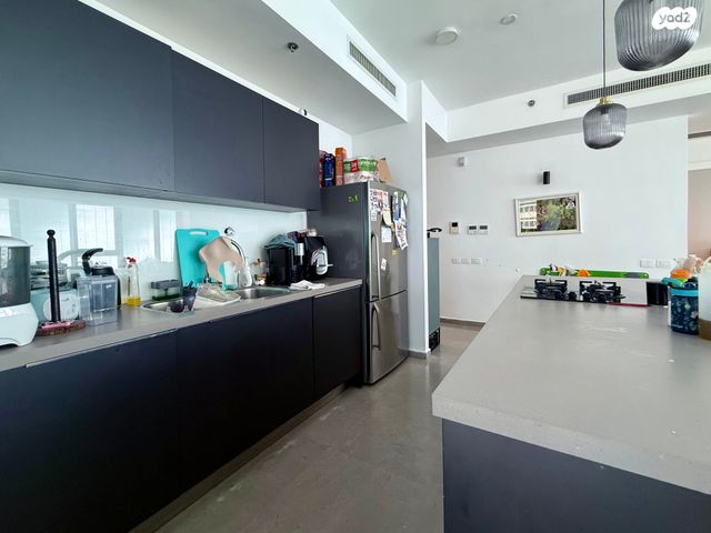 גג/ פנטהאוז, הצפון החדש - כיכר המדינה, תל אביב יפו