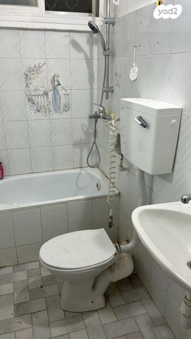 זאב ז'בוטינסקי 