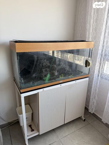 תמונת מודעה - חיות מחמד