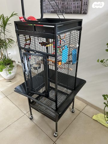 תמונת מודעה - חיות מחמד