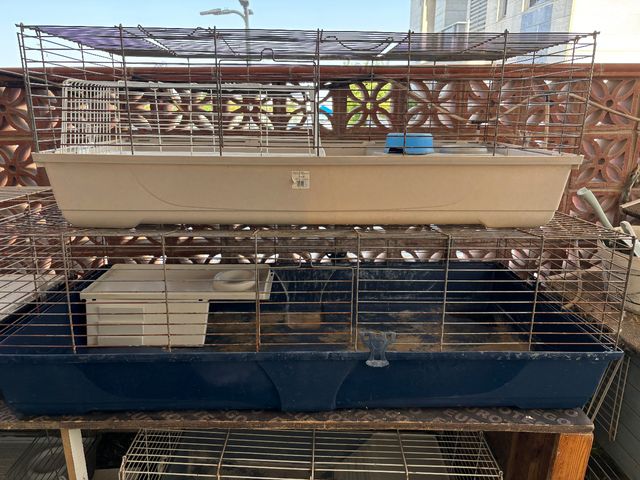 אביזרים | כלוב