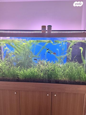 אביזרים | אקווריום