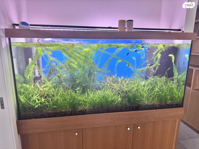 אביזרים | אקווריום