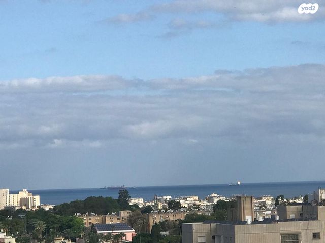 יגאל אלון 11