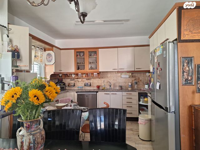 שמריהו לוין 6