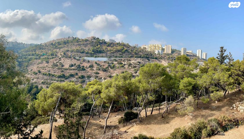 אבא הלל סילבר 113