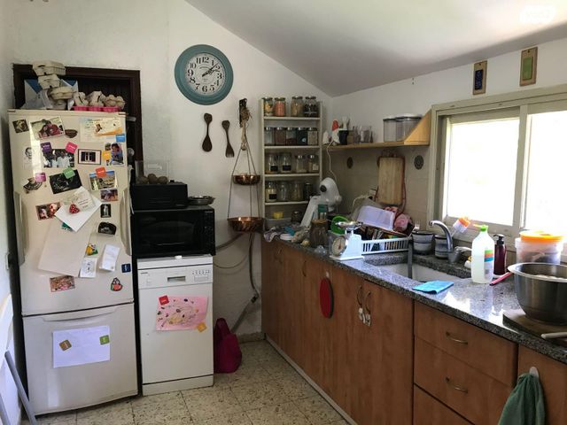 דוד פלורנטין 56