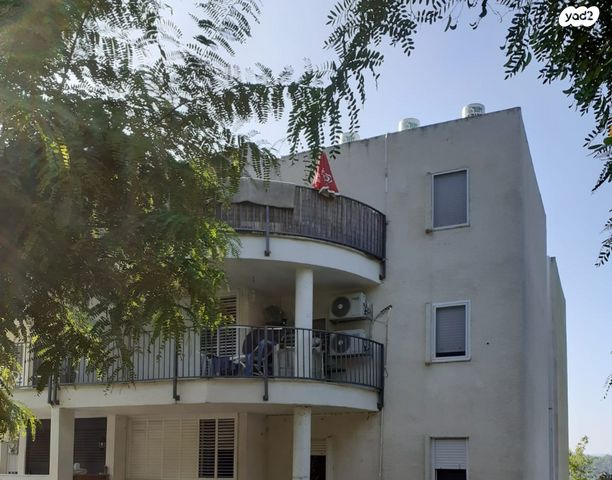 דוד בן גוריון 250