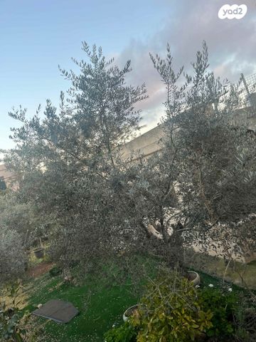 בית פרטי/ קוטג', סולטאן באשא אלאטרש 1, דאלית אל כרמל, דאלית אל כרמל