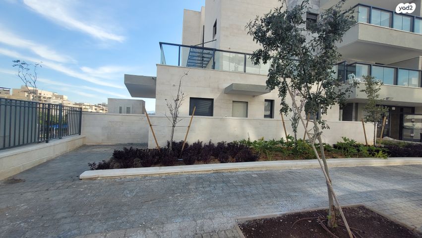 שרה אהרונסון 20