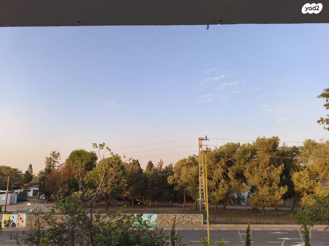 מקווה ישראל 10