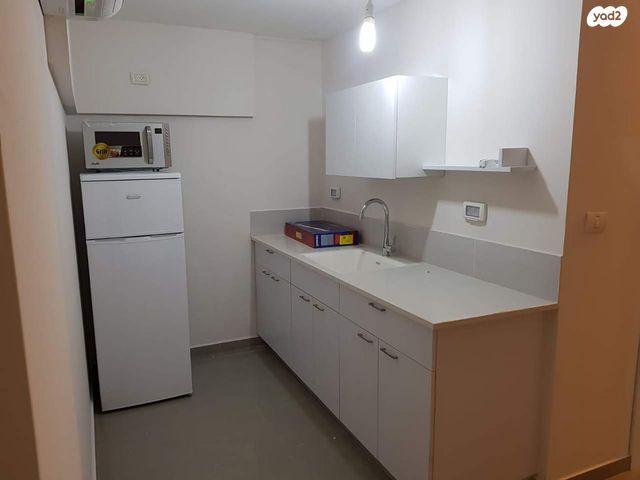 ישראל כצנלסון 27