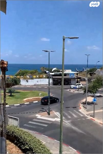 שמחה הולצברג 2