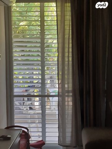 דירה, דוד בן גוריון 250, הראשונים, שלומי