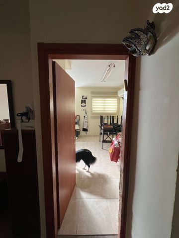 דירה, הגיבורים 31, מרכז העיר, חדרה