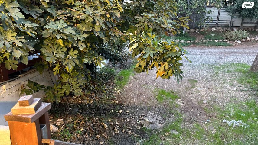 דירה, בציר 6, שכון עובדים, עפולה