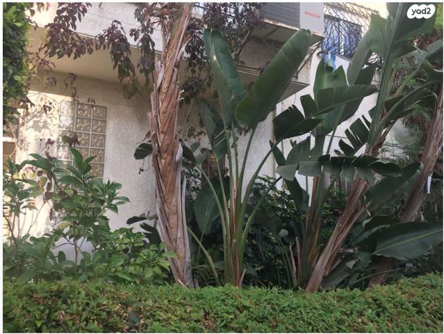 דירה, גוש עציון 7, הל"ה, גבעתיים