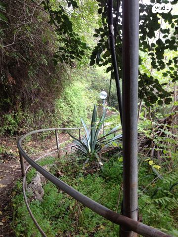 סטודיו/ לופט, יפה נוף 119, כרמל מרכזי - שד' קיש, חיפה