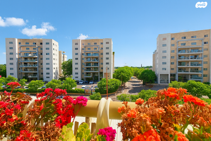 דירה, הר הצופים, רחובות ההולנדית, רחובות