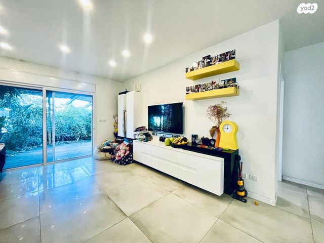 דירת גן, מיכאל קשטן, סביוני הכרמל, חיפה