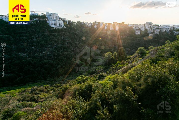 דירה, עובדיה, רמת התשבי, חיפה