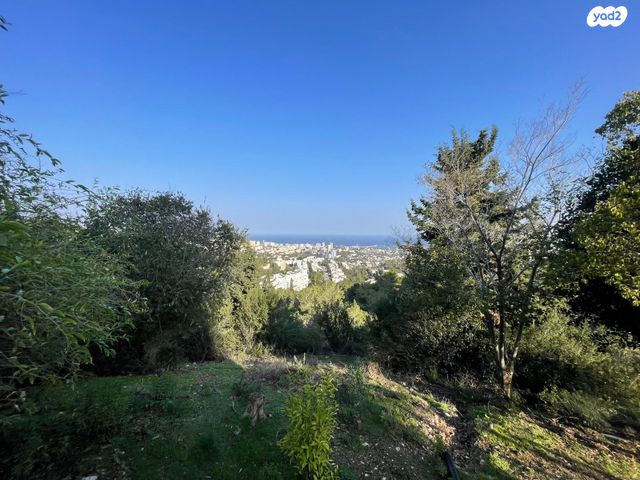 דירת גן, מיכאל קשטן, סביוני הכרמל, חיפה