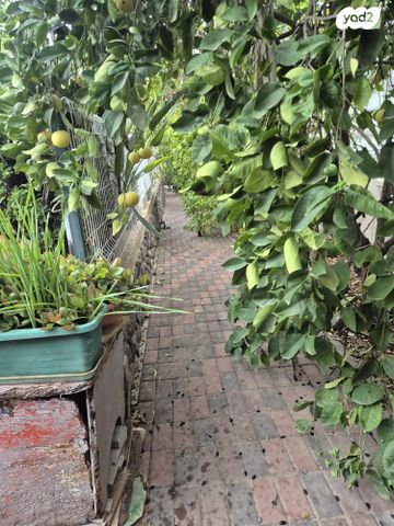 בית פרטי/ קוטג', דרך השדה, פוריה עילית, פוריה עילית